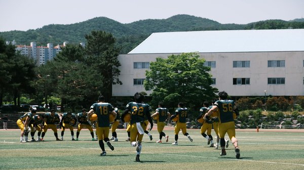 Descubre cómo potenciar tu fortaleza mental para el éxito en la escalada indoor