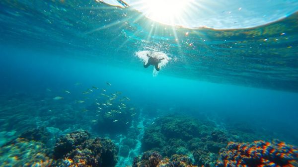 Las mejores técnicas para mejorar tu buceo al máximo